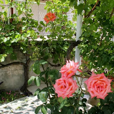 Apartamento Studio 2738a Omiš